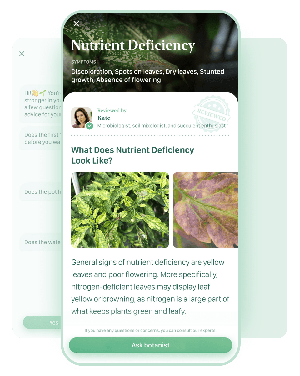 plant-disease-recognizer-on-the-app-store